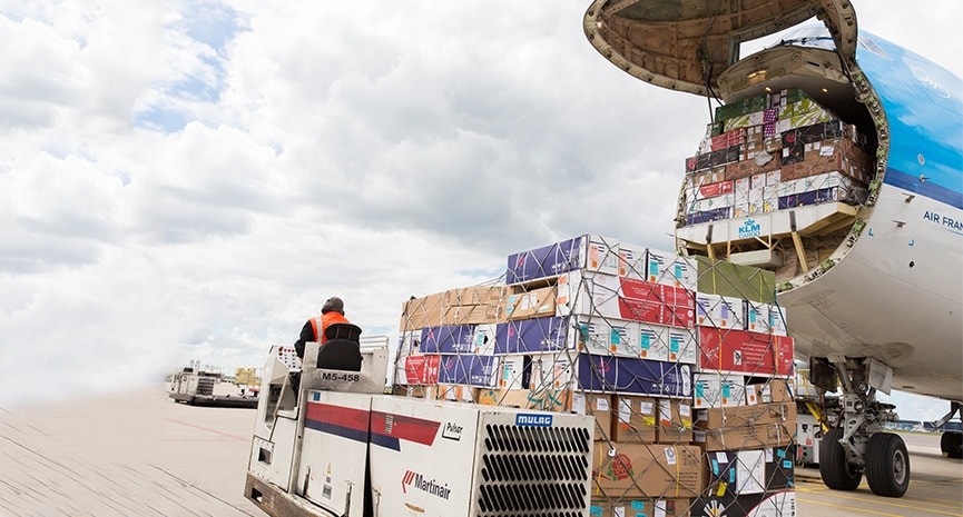 Cargo pallets of flower boxes being loaded into an aircraft