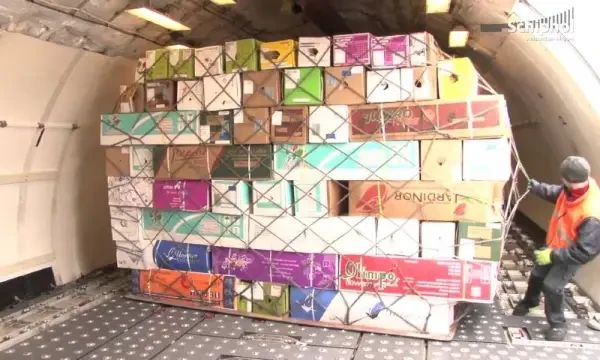 Secured flower freight pallet in an aircraft cargo hold